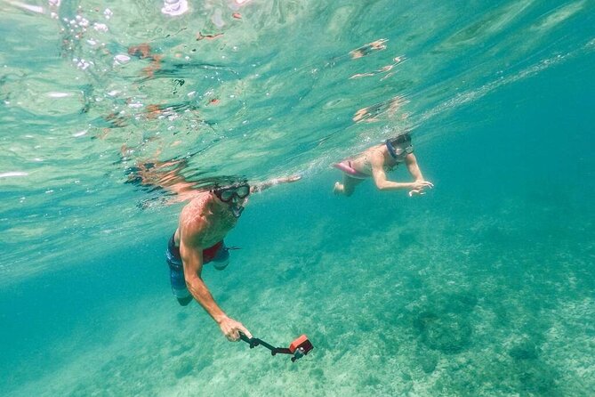 Admission Ticket to Coral World & Coki Point Beach with Snorkeling - What you can see below the surface