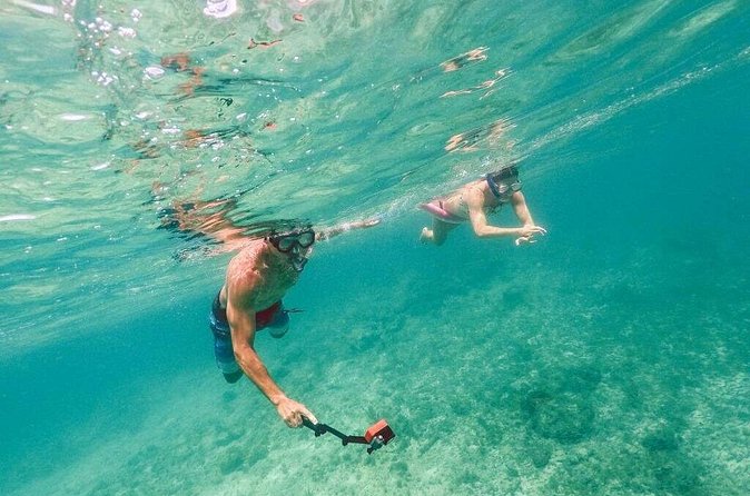 Admission Ticket to Coral World & Coki Point Beach with Snorkeling - Coral World Ocean Park: a change of pace