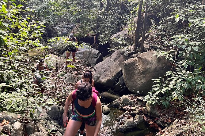 Brewers Bay Eco Hiking Tour - Why a private group changes the experience