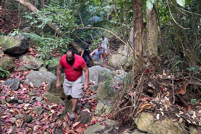Brewers Bay Eco Hiking Tour - What the $80 price buys you