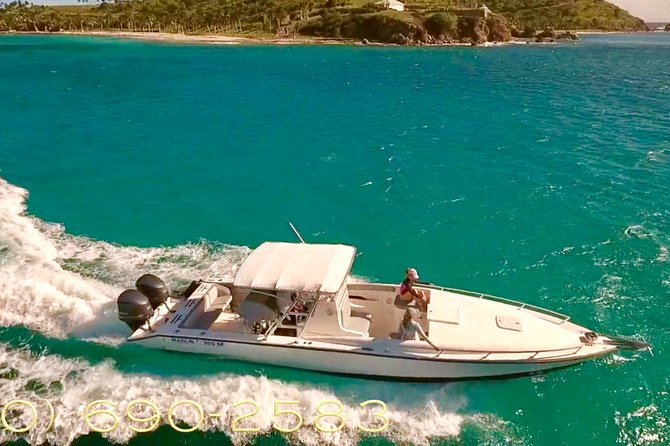 Caribbean Blue Charters - Full Day Boat Charter - 35' Marlin Power Boat - Lunch at Lime Out
