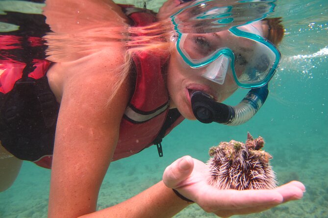 Cas Cay - Kayak Hike and Snorkel Adventure - What the $99 Price Covers
