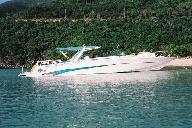 Cocktail Sunset Cruise from Sapphire Beach Resort - Music, Commentary, and the Social Mood