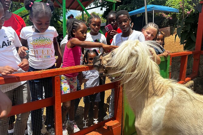 Connors Farms Petting Zoo - Reaching the farm by driven dirt trail