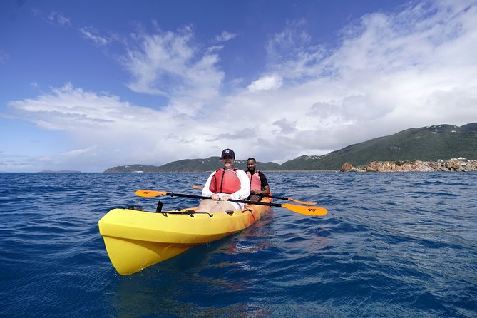Coral Reef and Turtle Discovery Tour - The guide support is the real value