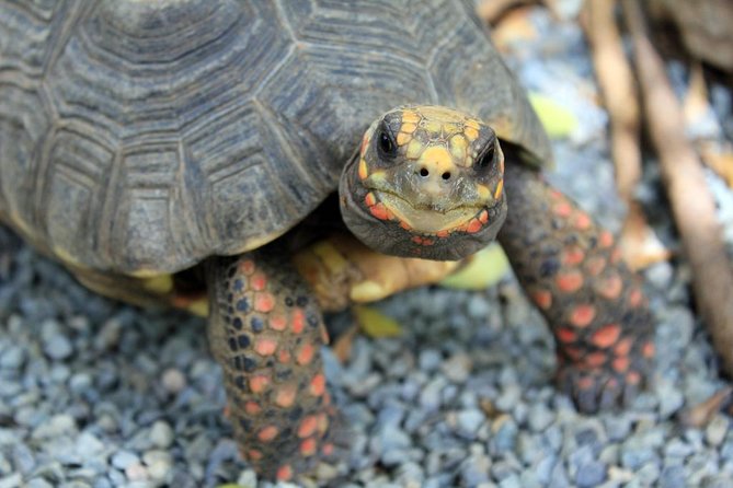 Coral World Ocean Park General Admission Ticket - Is $29 good value?