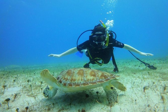 Discover Scuba Diving with No Certification in St Thomas - Your first underwater lesson at Saga Haven Marina