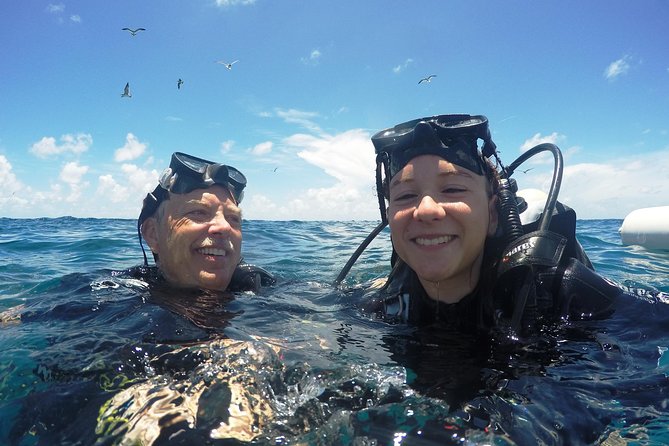 Discover Scuba Diving with No Certification in St Thomas - Reef life, snorkeling, and the optional second session