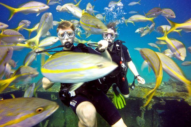 Discover Scuba Diving with No Certification in St Thomas - How the first scuba session works