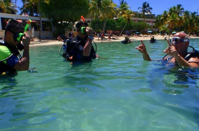 Discover Scuba Diving - Bay session or boat trip to reefs and wrecks