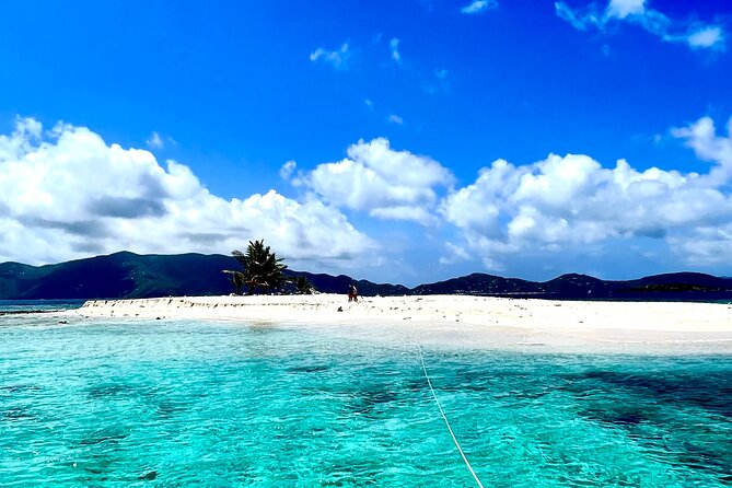 Family Snorkel Safari. ️Private boat! - Key things to know before you book