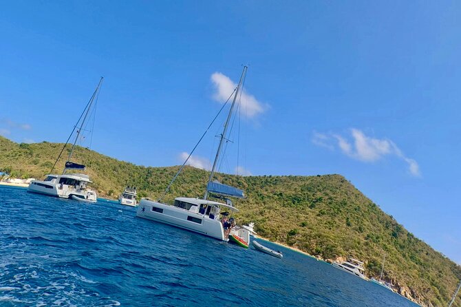 Family Snorkel Safari. ️Private boat! - The Indians for the final snorkel