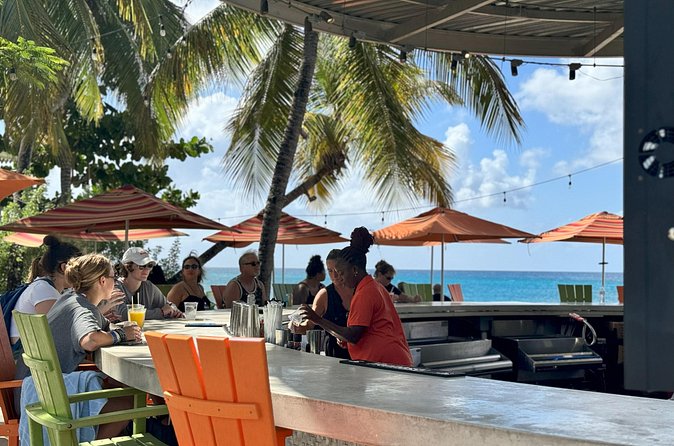 Frederiksted Moke Tour - Why the $85 price can make sense