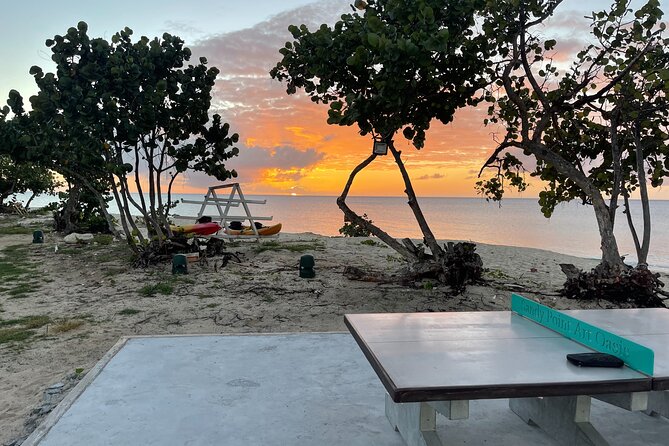 Frederiksted Moke Tour - Cruise timing and practical planning
