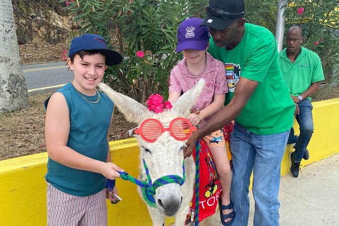 Full Day Cultural Jeep Beach Tour, St. Thomas & Water Island - What the private format is worth