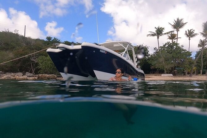 Full-Day Private Boat Charter from St. John or St. Thomas - Lime Out in Coral Bay, tacos from a floating stand