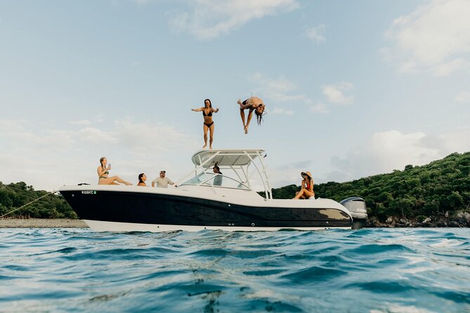 Full-Day Private Boat Charter from St. John or St. Thomas - Waterlemon Cay and healthier coral