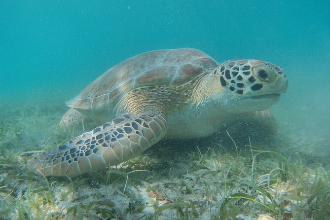 Full Day Private Charter, Snorkel St. John (12 guests, 55’ yacht) - Is $797.50 per person a fair price?