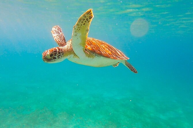 Full-Day Sailing Tour in Virgin Islands National Park - Food, drinks, and the real value of $285