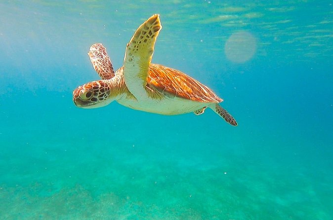 Full-Day Sailing Tour in Virgin Islands National Park - Who will enjoy this sailing trip most