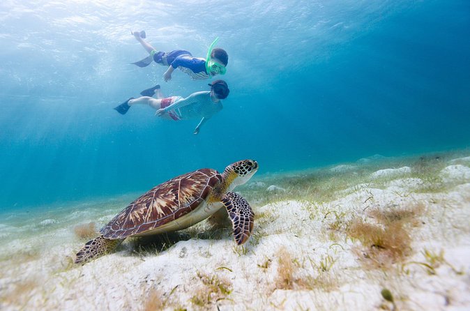 Full or Half Day Private Power Catamaran- USVI Beach and Snorkel - Christmas Cove and Pizza Pi
