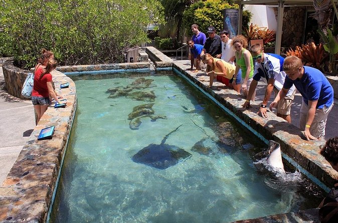 Guided Tour of Coral World Ocean Park & Happy Hour - How the Two-Hour Guided Visit Works