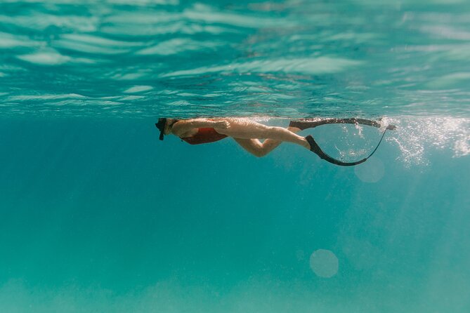 Half Day Boat Charter around the Islands of St Thomas and St John - Beaches, coves, and island views