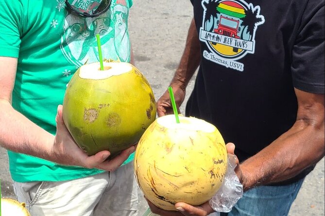 Half Day Cultural Jeep Beach Adventure - 4 Hr Tour St. Thomas - Local stories, plants, and island culture