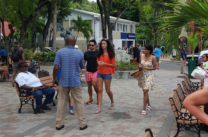 Half-Day Excursion to Trunk Bay Beach - Cruise passengers need a tighter plan