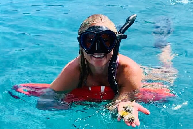 Half Day Luxury Catamaran Turtle Snorkel And Beach - Key points to know before you book