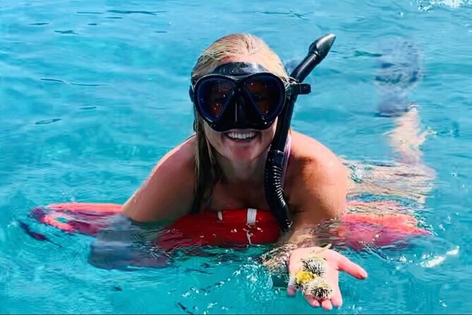Half Day Luxury Catamaran Turtle Snorkel And Beach - Why the 12-person limit changes the day