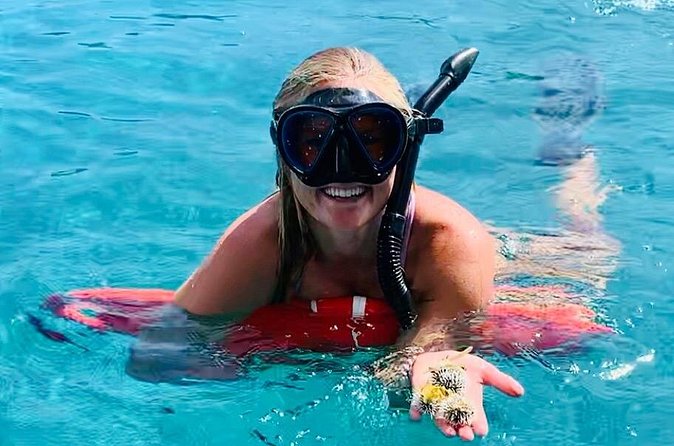 Half Day Luxury Catamaran Turtle Snorkel And Beach - Comfort, safety, and the limits of the boat
