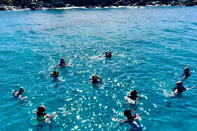 Half Day Luxury Catamaran Turtle Snorkel And Beach - Snorkeling near Buck Island National Wildlife Refuge