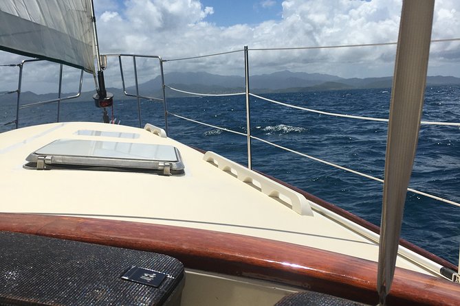 Half Day Sail and Snorkel with the Turtles - Key points before you book