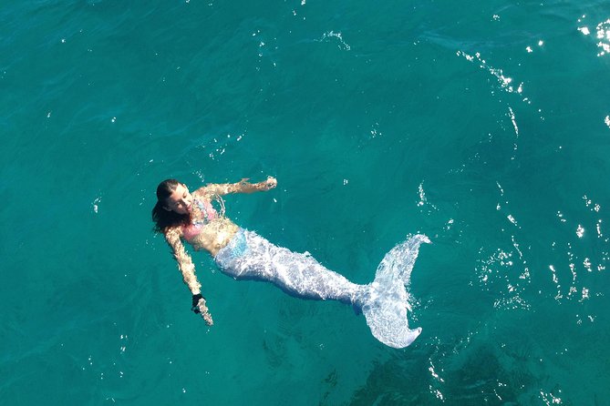 Half Day Sail and Snorkel with the Turtles - Is $140 a fair price?