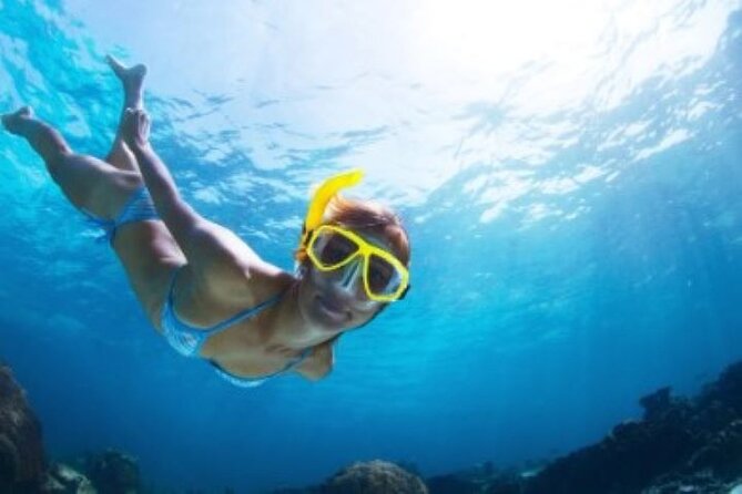 Half Day Snorkeling Tour from Margaritaville - Key points at a glance