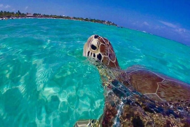 Half Day Snorkeling Tour from Margaritaville - The first water stop: instruction before exploration
