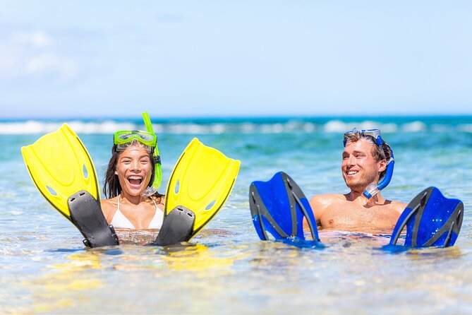 Half Day Snorkeling Tour from Margaritaville - What makes the wildlife stops special