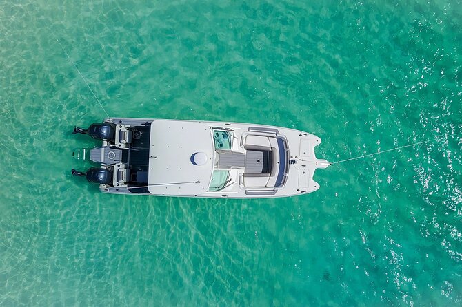 Half or Full-Day Private Boat Charter from St. John or St. Thomas - Maho Bay for sea turtles