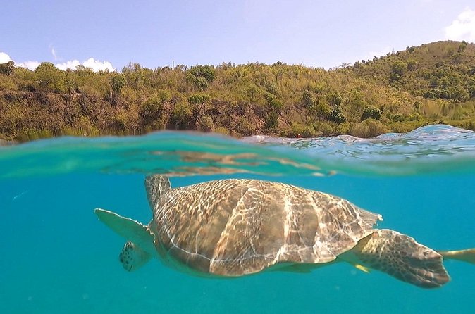 Half or Full-Day Private Boat Charter from St. John or St. Thomas - Christmas Cove and Pizza Pi