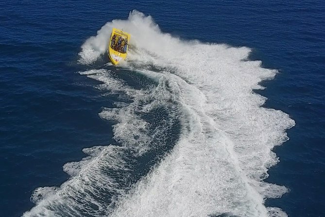 High Speed Harbor Tour from Charlotte Amalie Cruise Port - A short harbor tour with a local voice