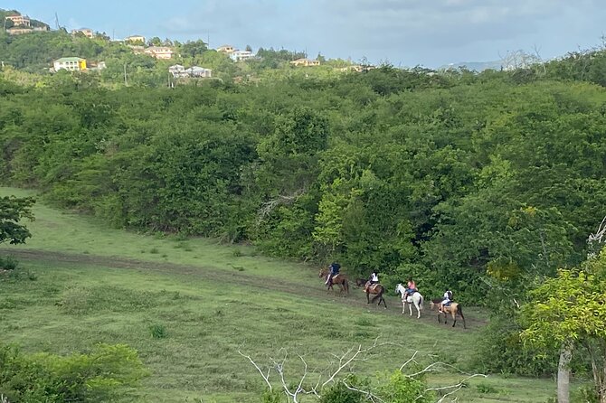 Horseback Riding Experience - A horseback ride with more than a saddle