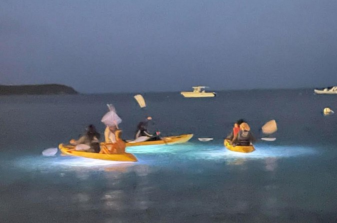 Illuminated Night Kayaking at the Elysian Resort - How the small group changes the experience