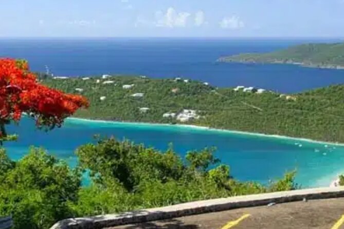 Island Buggy Excursions - Mountain Top for views and a banana daiquiri