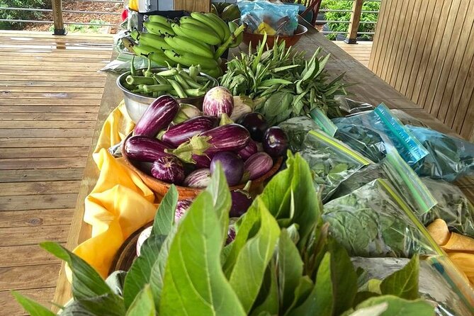 Island Eco Farm Tour with Local Treats and Sapphire Beach Time - Who should book it, and who should skip it?