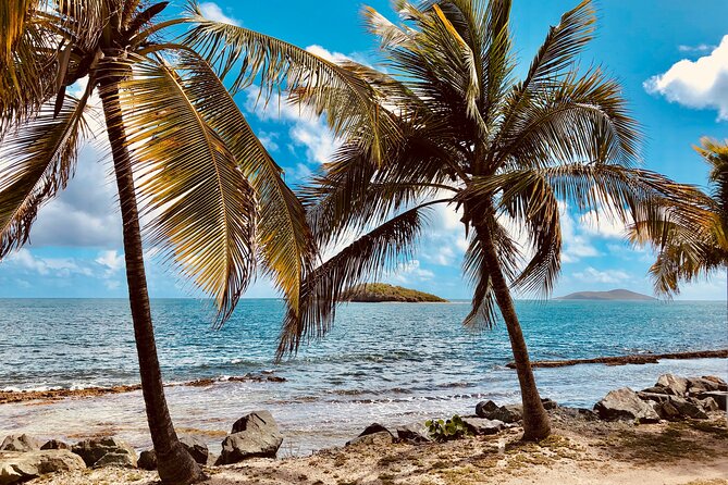 Island Life Jeep Tours - Your Day Your Way Private Excursion! - Snorkeling with turtles, rays, and realistic expectations