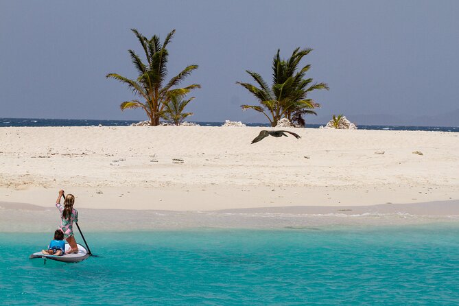 Jost Van Dyke - Sandy Spit & Soggy Dollar Sailing Tour in the BVI - Lunch, drinks, and the onboard setup