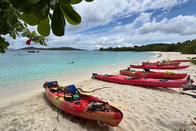 Kayak & Snorkel with Sea Turtles, National Park, St. John - What the guides add to the experience