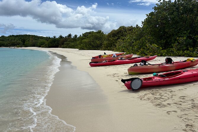 Kayak & Snorkel with Sea Turtles, National Park, St. John - The practical details that matter
