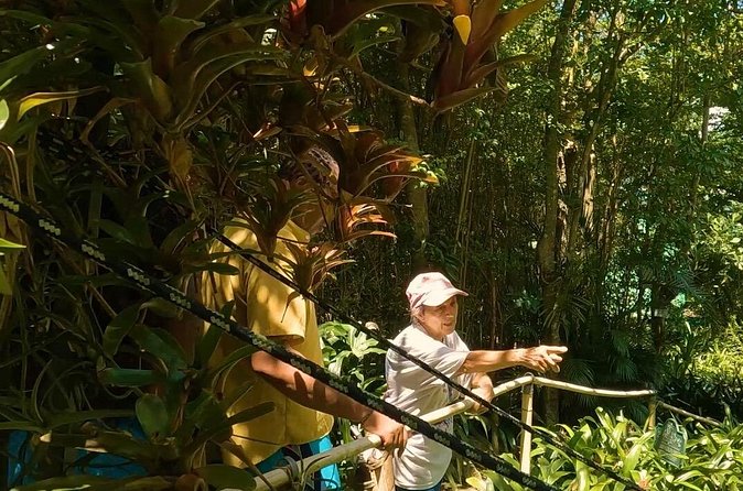 Luxury Private Tour in ST.Thomas(6per group) - Charlotte Amalie brings shopping and Danish-era streets